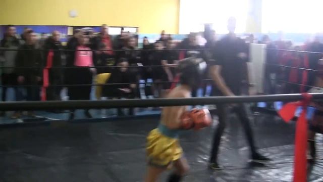 Кубок Запорожской области ISKA Нестеренко Ярик Лоу смотреть онлайн