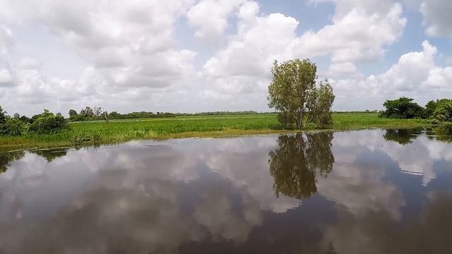 Австралия - Национальный парк Какаду, круиз по реке Билабонг / Australia - Yellow Water Cruises. смотреть онлайн