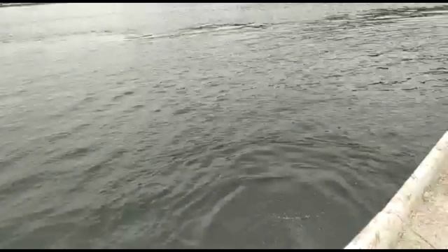 Водолазный осмотр днища судна смотреть онлайн