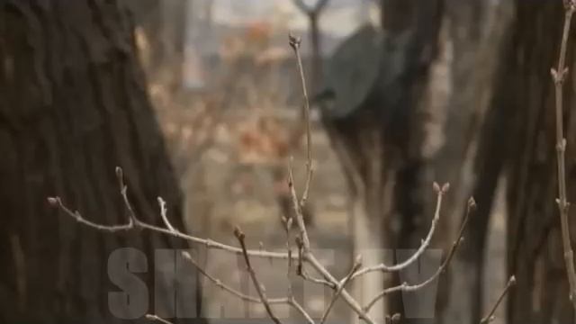 Բանակում/Banakum – 2/75 смотреть онлайн