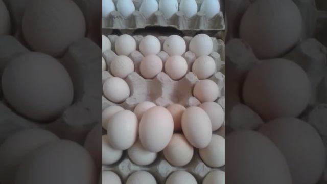 сутки без сна смотреть онлайн