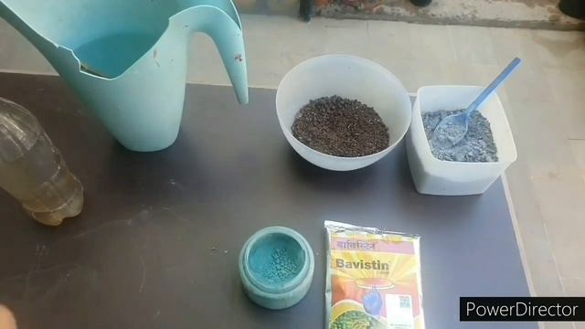 Fungicide Use In Plants// How And When To Use