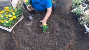 КАК СДЕЛАТЬ КЛУМБУ СВОИМИ РУКАМИ БЕСПЛАТНО.