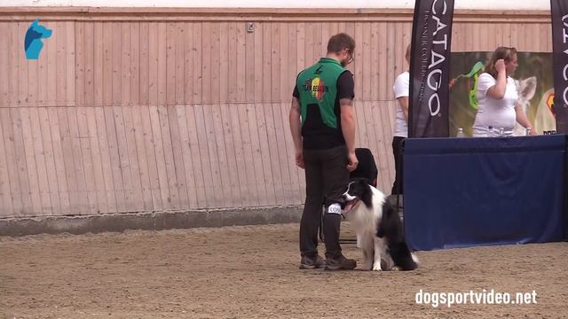 Qualification - Jelte Van Camp + Gingerbell Overdose/Border Collie - Belgium смотреть онлайн