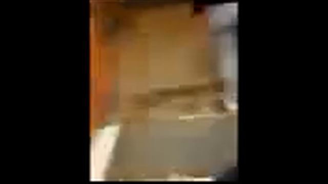 Приколы, юмор, умора))) смотреть онлайн