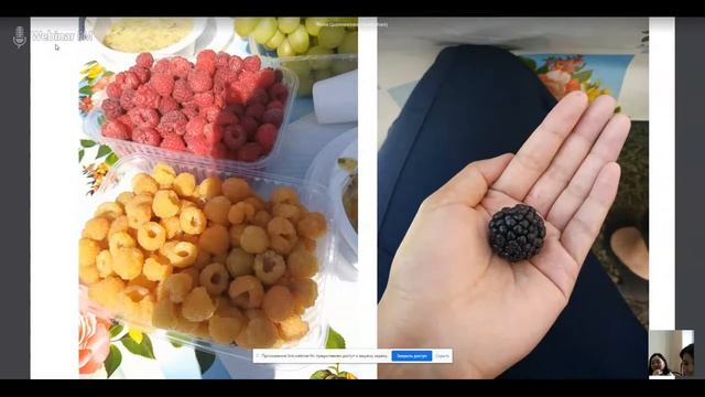 "Школа садоводства". Запись вебинара. День 4 смотреть онлайн