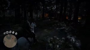 Red Dead Redemption 2 Первая встреча с ночной бандой
