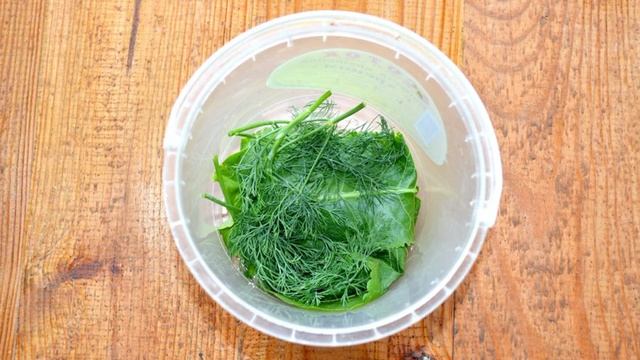 Сборник рецептов