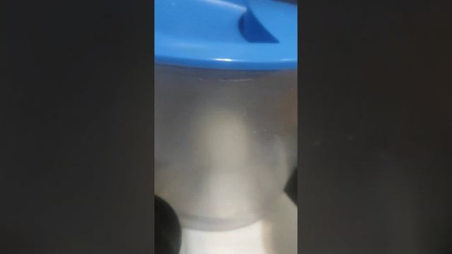 2 обзор за 20 сек дам... смотреть онлайн