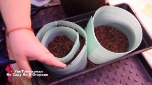 УЛУЧШЕННЫЕ улитки для РАССАДЫ. Рассада в улитке ПО - НОВОМУ.