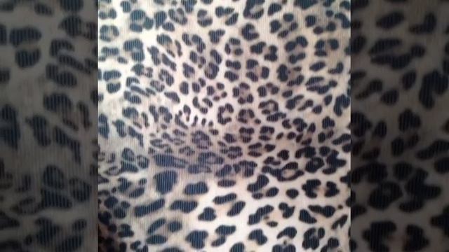 Leopard Print Leggings