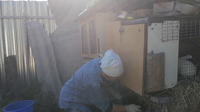 Обычный выходной обычной сельской женщины 25 07 2020 смотреть онлайн