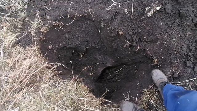 коп металла на выбитой ферме день второй, #коп2023 #металлокоп #коп #времяспользой