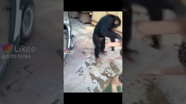 давай помогу смотреть онлайн