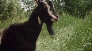 Гостья из будущего  Серия 2