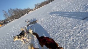 VLOG КАТАЕМСЯ НА САНЯХ С ХАСКИ!