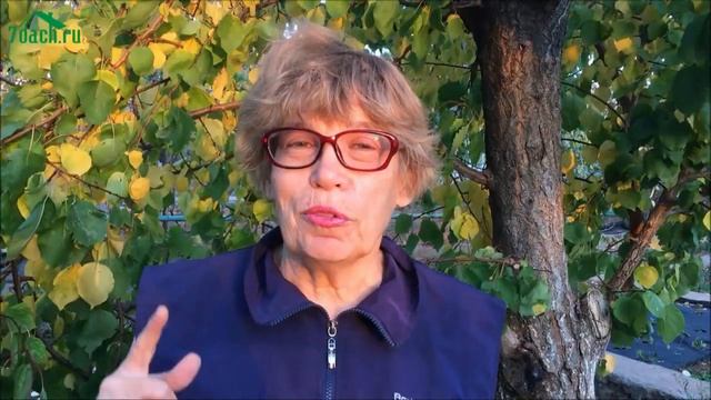 ? Делаем грядку из опавших листьев - 7 дач смотреть онлайн