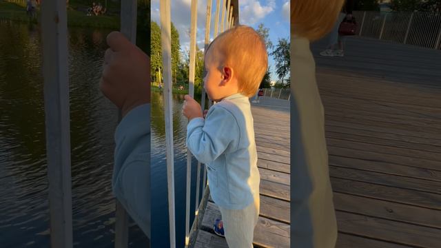 Домашняя суета.