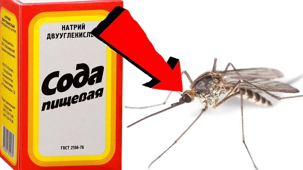 ПОЛЕЗНЫЕ СОВЕТЫ