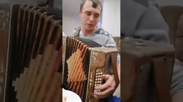 Скажи председатель!Под гармонь!Исполняет Владимир Куркин смотреть онлайн