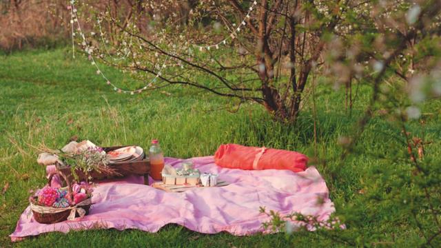 Michel Fugain & Le Big Bazar - Le Printemps смотреть онлайн