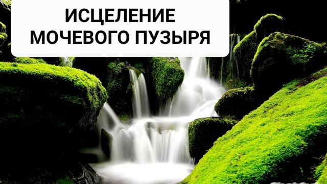 Глобальное исцеление мочевого пузыря. Медитация, лечебная музыка с  бинауральными ритмами.Во сне.