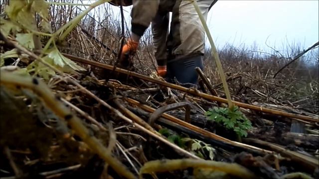 СУПЕР! КРУТОЙ КОП! ПЕРЕВЫПОЛНИЛ ПЛАН НА 33% КОП МЕТАЛЛАкоп металла, активный отдых, заработок дене смотреть онлайн