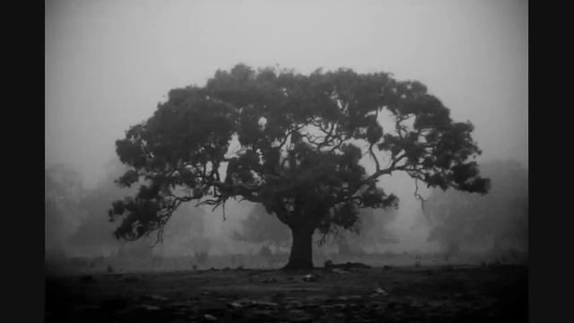 Ocean of Sorrow (Океан печали)- Intro in G# Minor смотреть онлайн