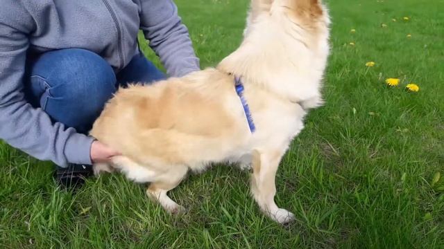 Занятие 2 Сесть встать смотреть онлайн