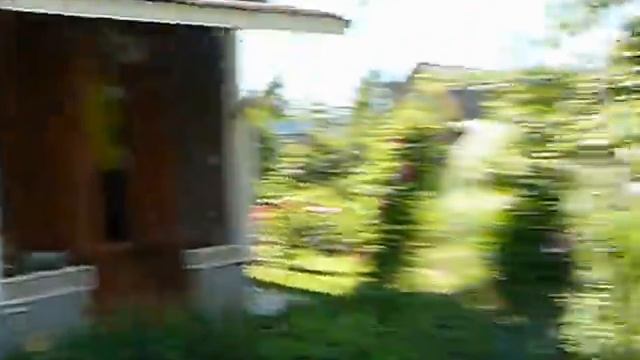 Джек на даче #Джек рассел терьер смотреть онлайн