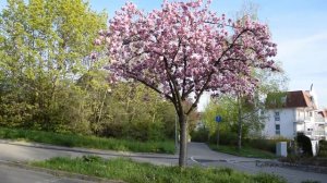 Nikon D5300 test photos and videos. Тестирование Nikon D5300 - фото и видео.
