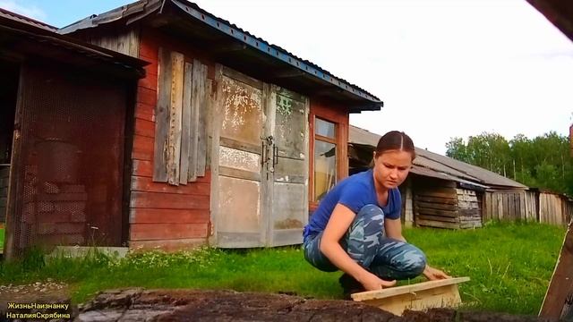 УЕХАЛИ НА ЛЕТНЮЮ РЫБАЛКУ. ВЫСАДИЛА АРБУЗЫ.ПЕРЕСТАВИЛА ТОМАТЫ В ТЕПЛИЦЕ.ИЮНЬ 2023. смотреть онлайн