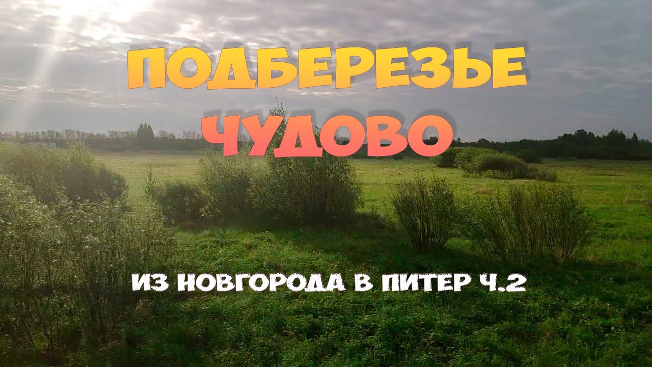 Из Новгорода в Питер ч.2. Подберезье - Чудово из окна электрички 2021