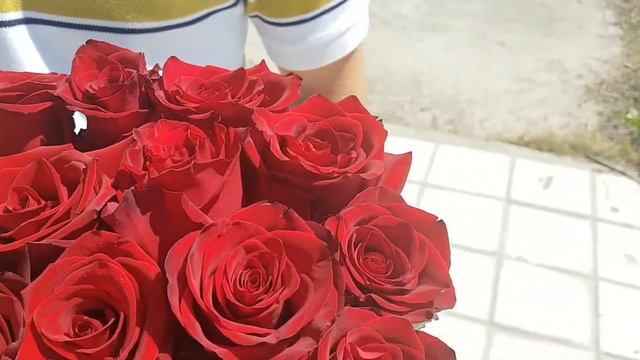 Букет из 25 красных роз Незнакомка - www.dobro34.ru смотреть онлайн