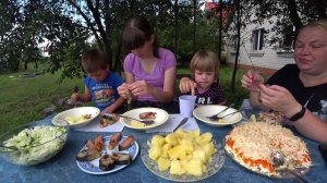 мукбанг с рыбкой/атака мух