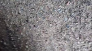 Звук неисправного выжимного подшипника ваз классика при нажатии на педаль сцепления.
