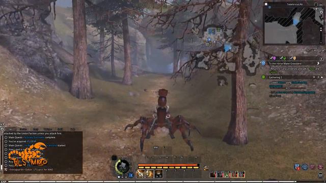 BLESS ONLINE ► Прокачка Habitchts #1 ◄ Класс: Guardian смотреть онлайн