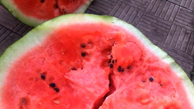 Шикарный арбуз "Каристан" , стоит выращивать. смотреть онлайн