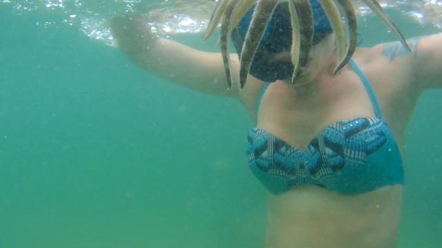 Животный мир Сиамского залива. смотреть онлайн