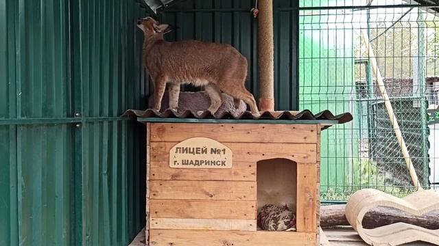 Красотка Маруся???❤ смотреть онлайн