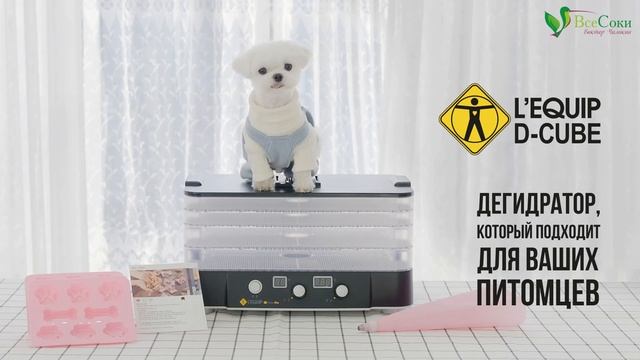 Чем кормить собаку? Лакомства для собак своими руками ? смотреть онлайн