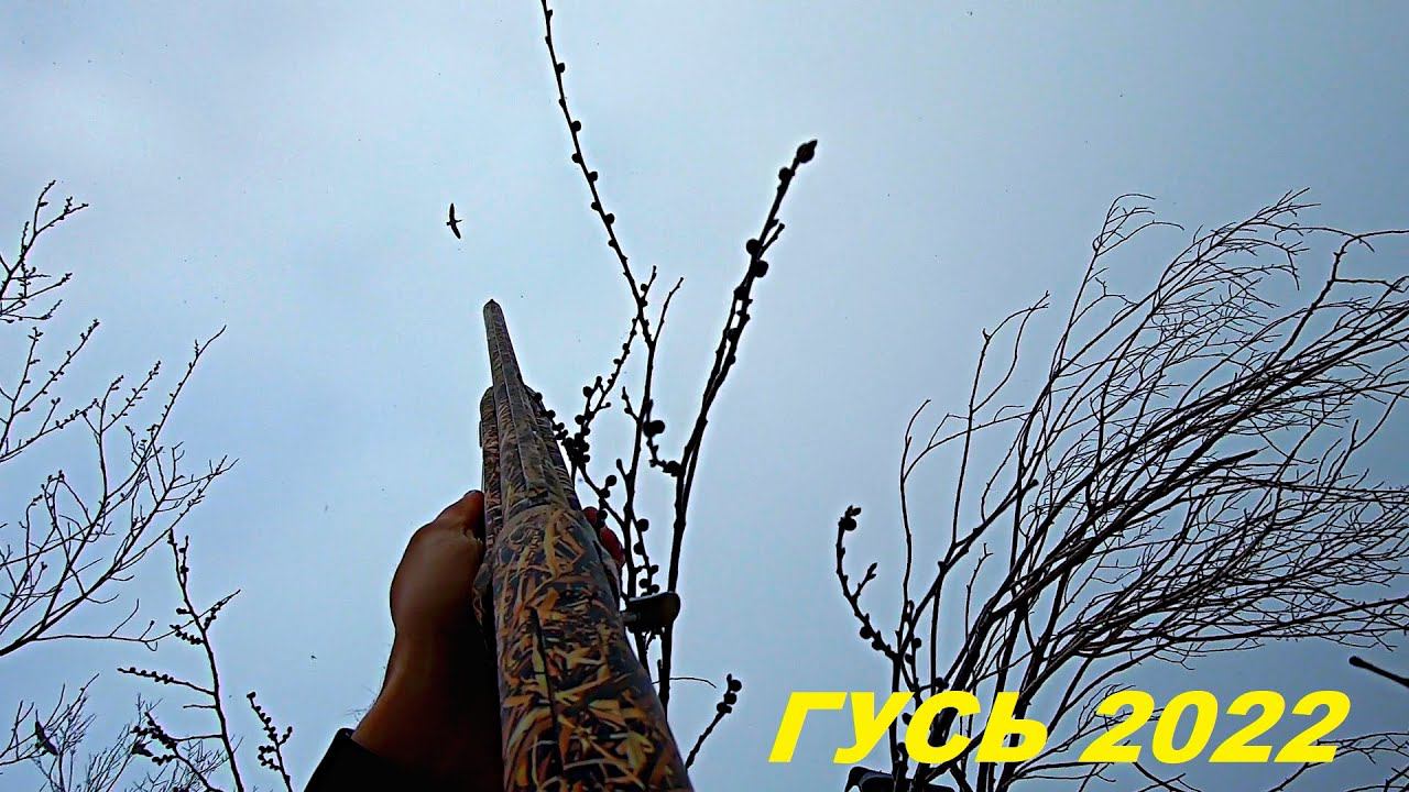 ГУСИ В ТУМАНЕ ЛЕТЯТ СО ВСЕХ СТОРОН!!! Закрытие охоты на гуся 2022 / MAX HUNTER смотреть онлайн