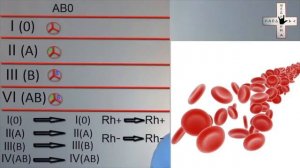 группа крови, резус фактор,  резус конфликт