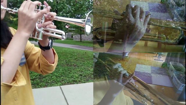 Trumpet Voluntary - Jeremiah Clarke - Trumpet Trio