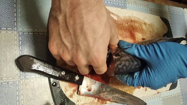 Подготовка и посол скумбрии для холодного копчения. смотреть онлайн