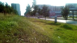 угол ул. Коллонтай и Дальневосточного проспекта, Санкт-Петербург