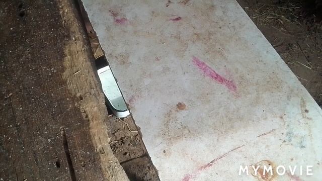 Отсадила крольчат от кролихи/ Определяем пол у крольчат ....но что это с ним ? смотреть онлайн