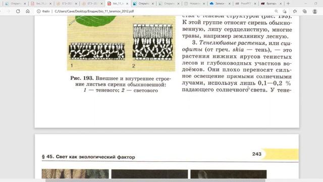 Экологические факторы: Свет смотреть онлайн