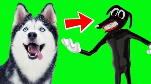 МОЯ КАРОЛИНА - CARTOON DOG!! ЛАМПОГОЛОВЫЙ ПРЕДАЛ СИРЕНОГОЛОВОГО И НАС! Хаски Бублик Говорящая собака