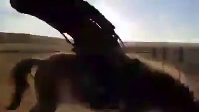 ОБЪЕЗДКА КОНЯ В КАЗАХСТАНЕ. смотреть онлайн